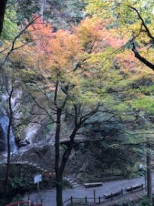 黒山三滝の紅葉状況 越生町観光サイト 梅を向いて歩こう