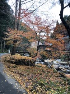 黒山三滝の紅葉状況 越生町観光サイト 梅を向いて歩こう