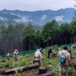 大高取山の草刈りを実施しました。